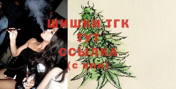 гидропоника Саяногорск