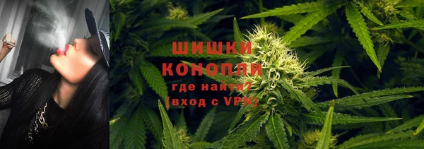 гидропоника Саяногорск