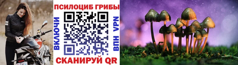 Галлюциногенные грибы Psilocybine cubensis  хочу наркоту  Новотроицк 